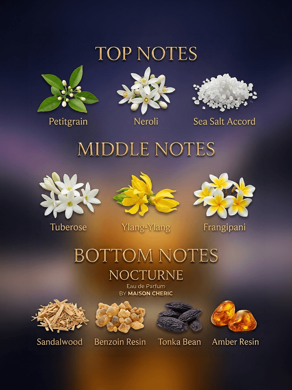 Nocturner Amber 2